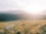 Colorado Wedding Planner - Mountain Wedding