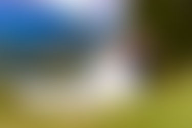 Timber Ridge Wedding in Keystone Colorado