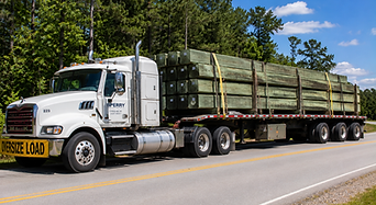 Greenheart Timber  (3).png