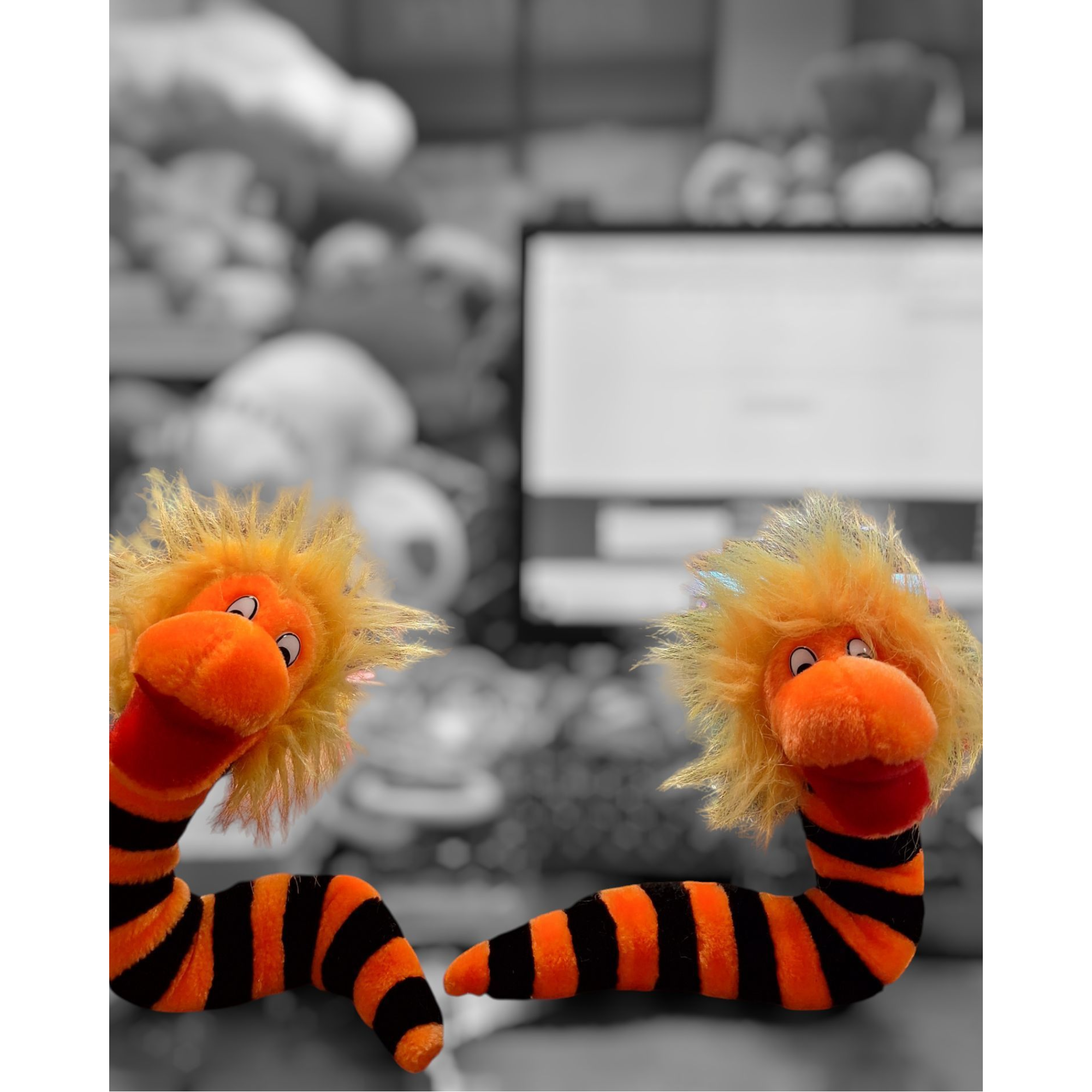 Krimb me floke te verdha!