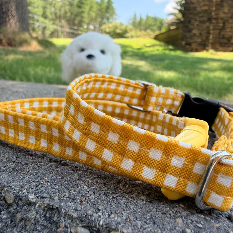 yellow gingham Cotton Dog Collar - tiny dog collar in yellow gingham print