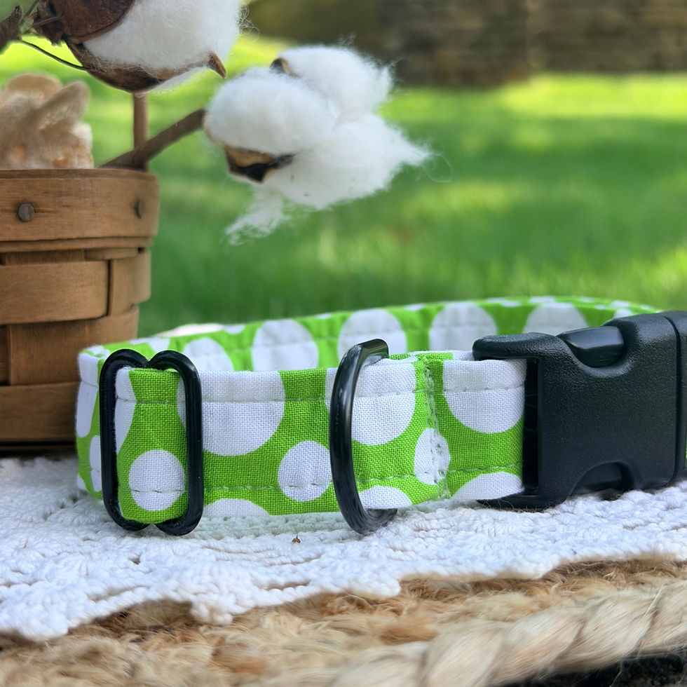 Thumbnail: Lime green polka dot cotton dog collar - handmade in South Carolina