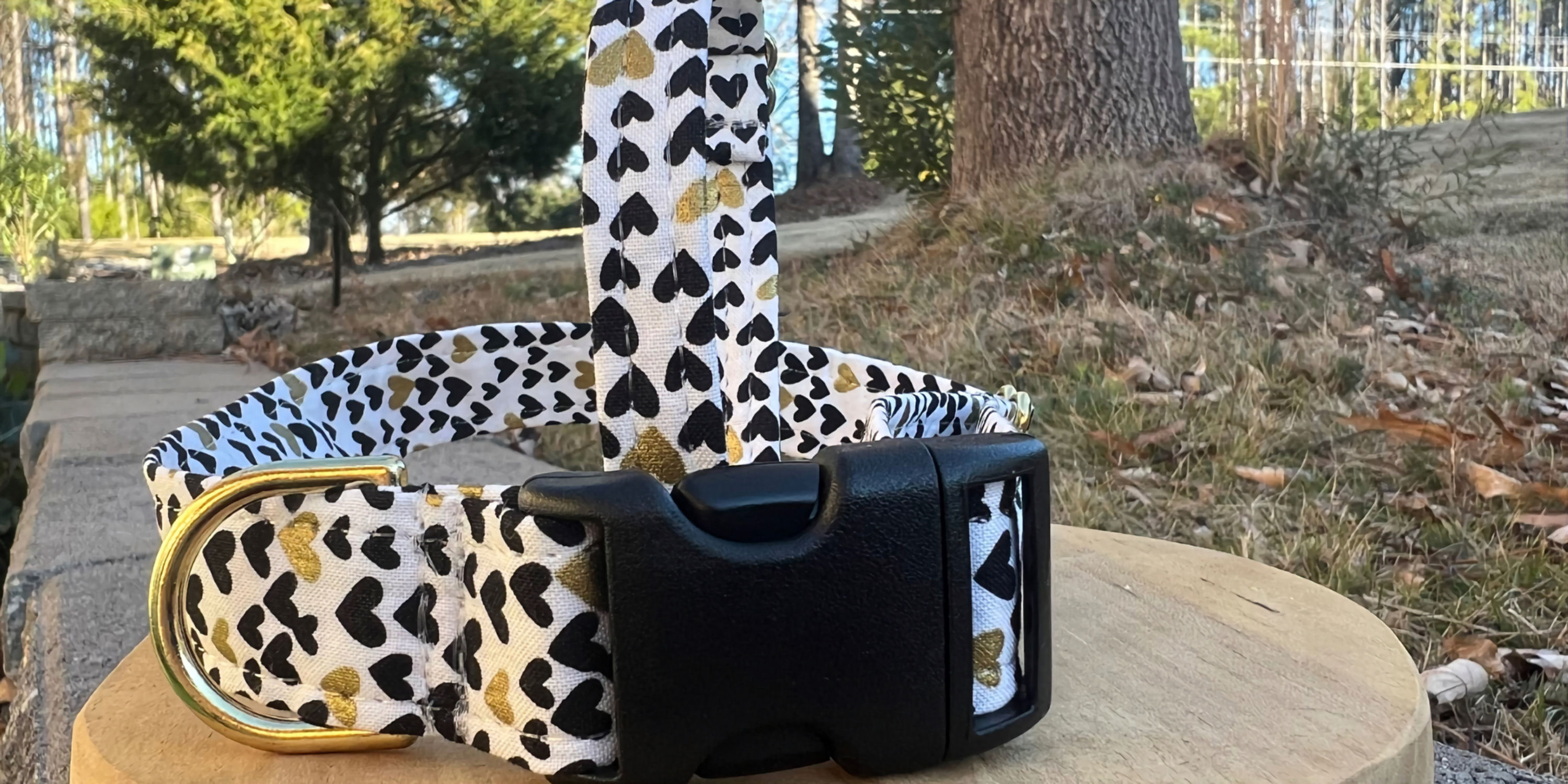 Valentine Hearts - Dog Collar