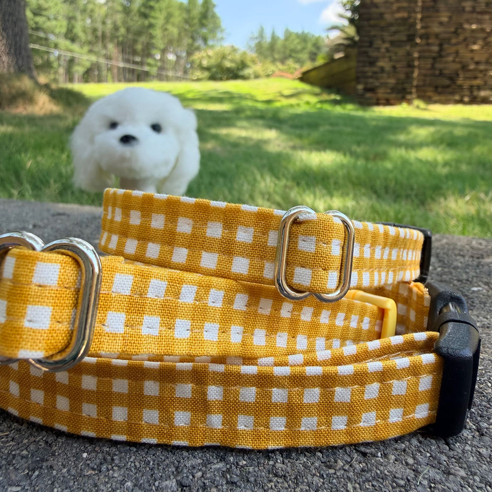 yellow gingham Cotton Dog Collar - tiny dog collar in yellow gingham print
