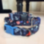USA dog collar - patriotic small dog collar