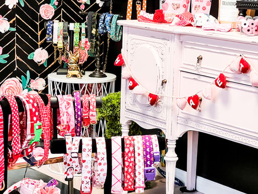  Little Barks Boutique : Pampering Pets and Loving it ! 