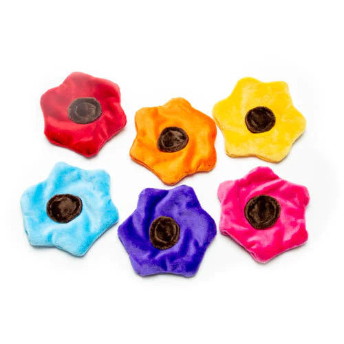 Crinkle dog toy made in the USA