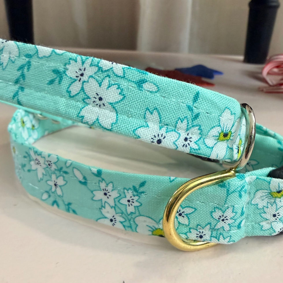 Pretty teal small dog collar - boutique designed dog collars