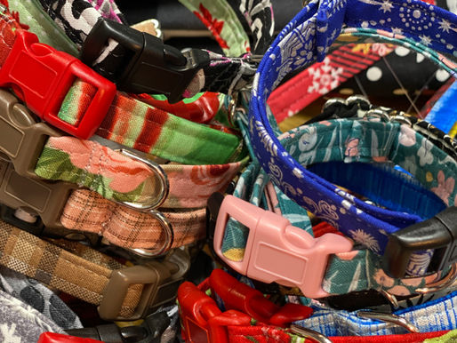 Are you searching for the best collar for your Tiny Dog ?