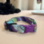 Purple and green small dog collar , comfortable and made for toy breed dogs