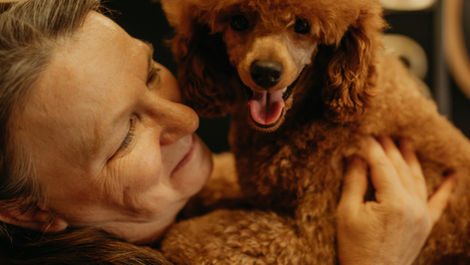 Groomer's Guide to finding the right fit dog collar