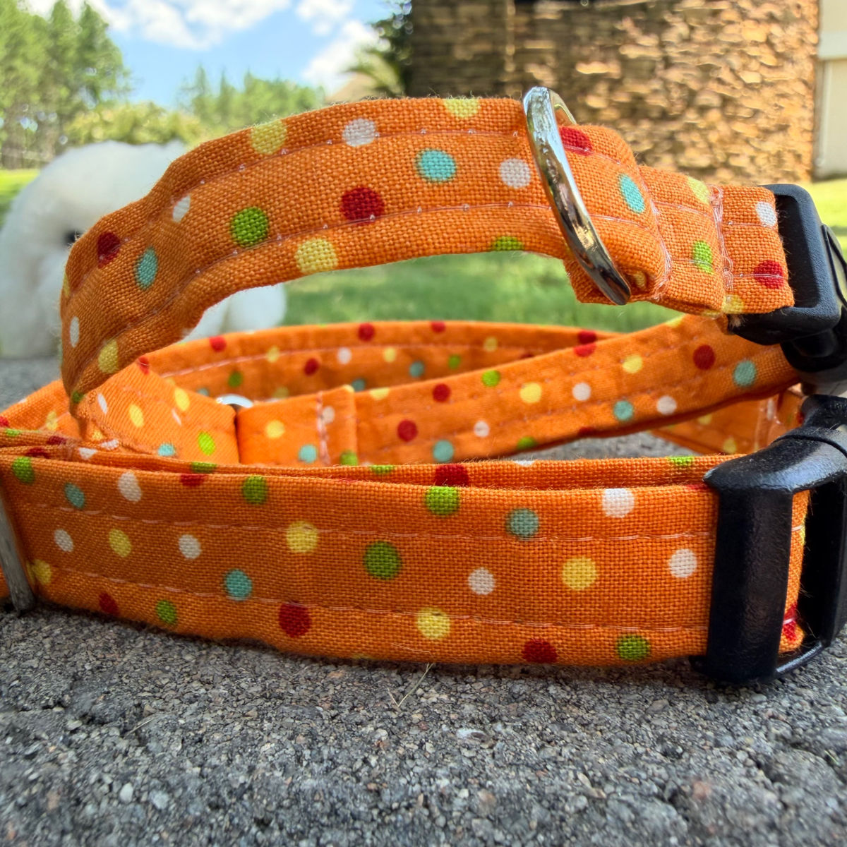 Orange Cotton Dog Collar with polka dots made in South Carolina
