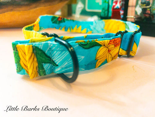 What is a Martingale Collar