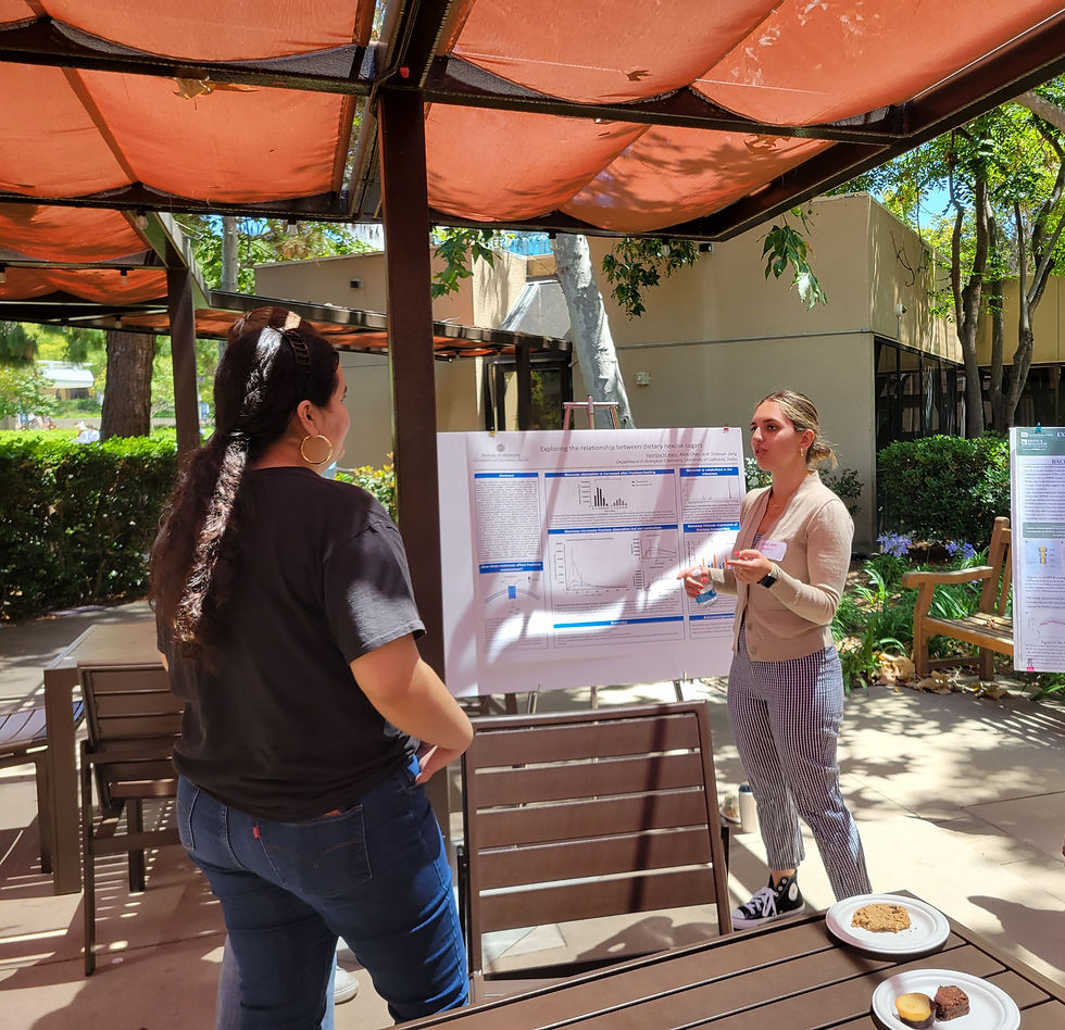 A 1-to-1 conversation about the person's research poster.