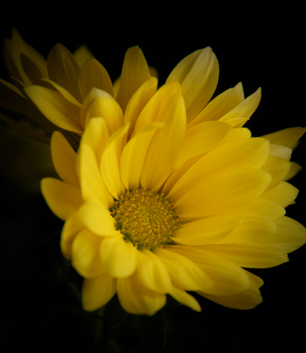 82AB61B7-B4E0-4F2E-9FB7-CB66500BEE9A_1_201_a