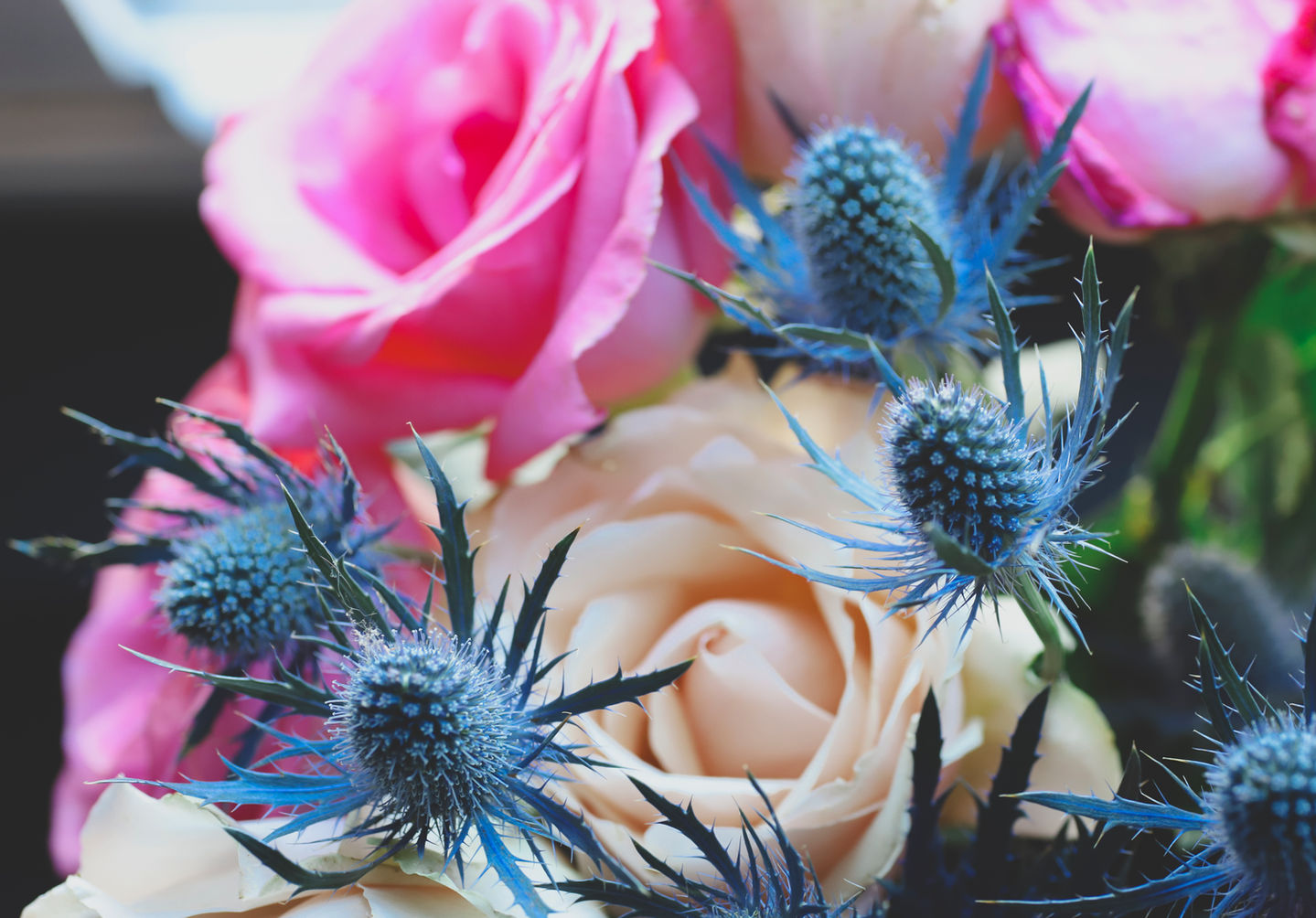 my bday flowers-3