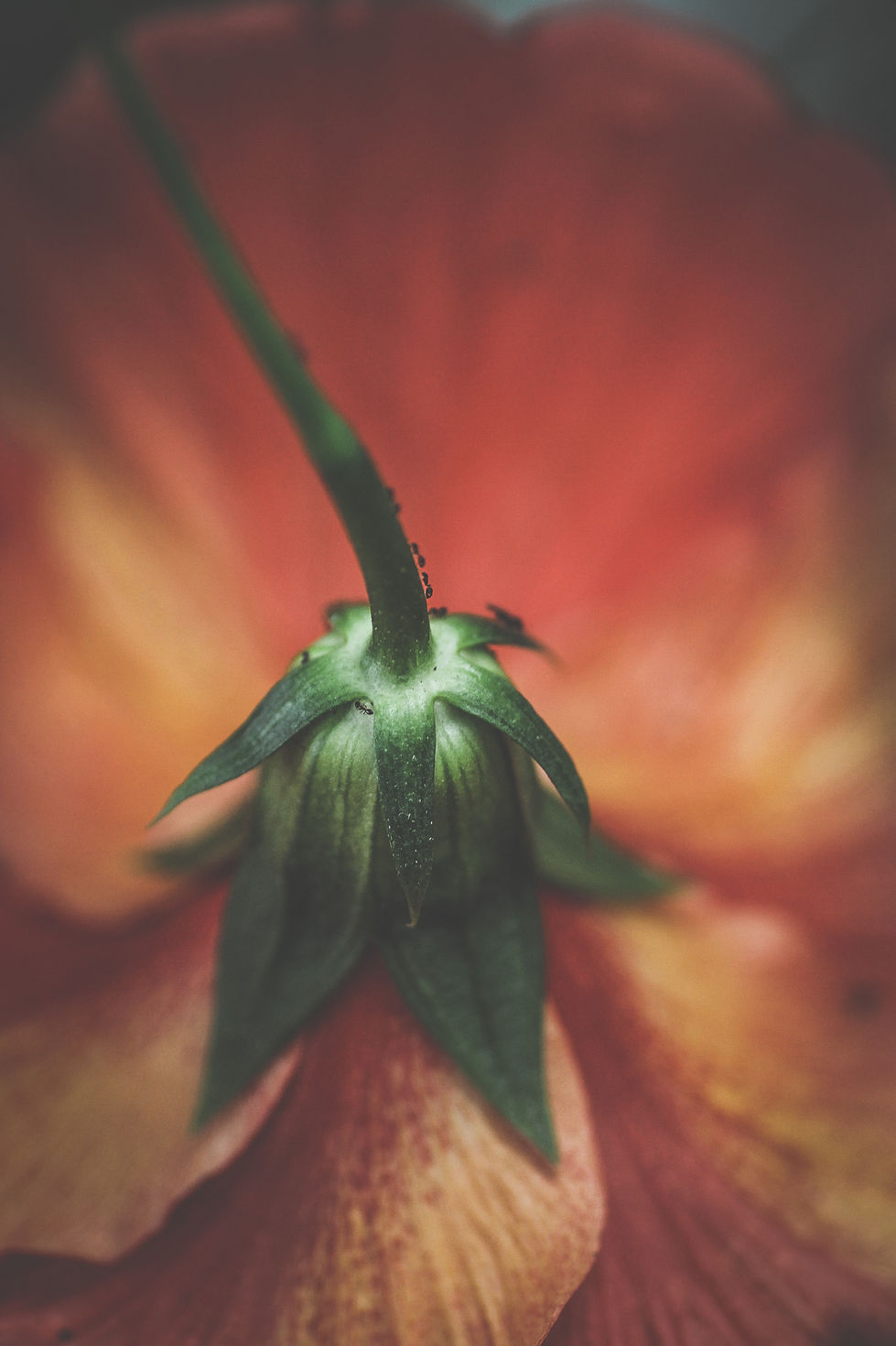 756A4593-76A4-4DC1-AC93-3904FEF66FA1_1_201_a