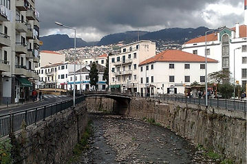 image as7.jpg
