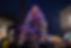 2023-RensVictorianStroll-155.jpg