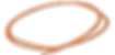 Orange Highlight Circle