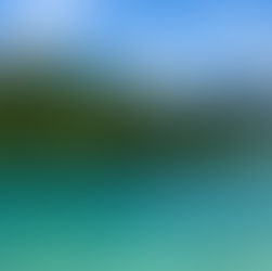 ירח דבש לא שגרתי באיי דרום יפן