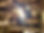 IMG_2638.JPEG