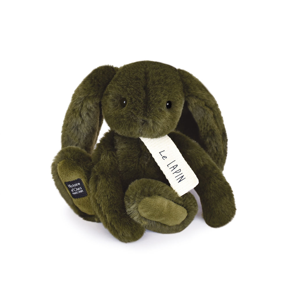 Miniature : peluche, lapin, doudou, histoire d'ours