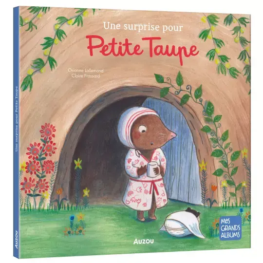livre "Une surprise pour petite taupe" vue de face
