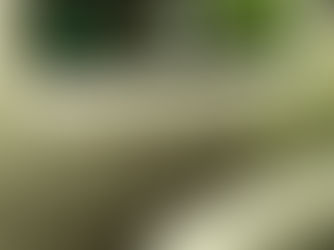 Camping with the Orioles