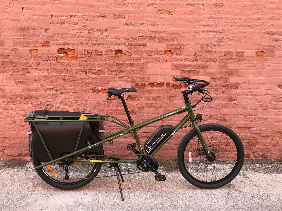 Yuba Mundo mid drive custom build