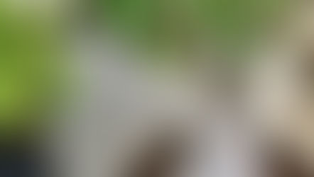 数ヶ月ぶりのお休み