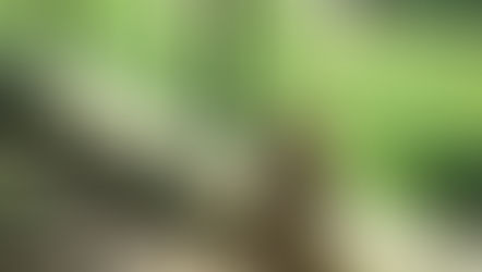 年間でちょっとの間