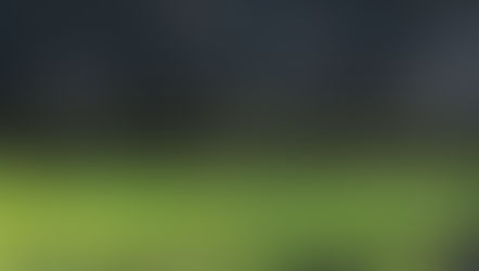 思いがけず花見