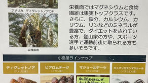 キング・ソロモンデーツ