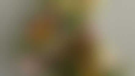 トラム4周年おめでとう御座います!