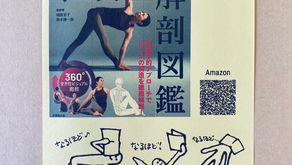 描きおろしました〜