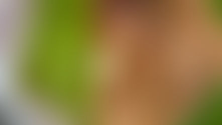 マイラリドーサ