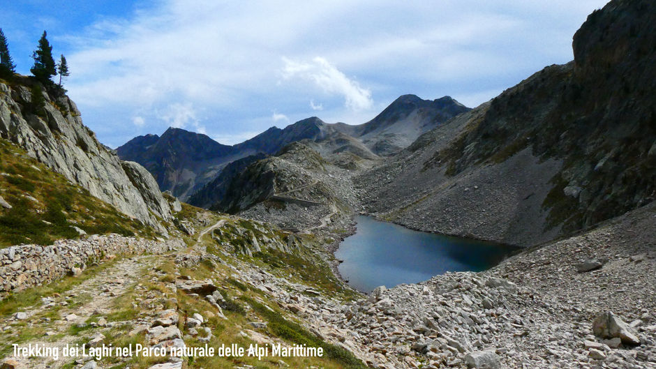 Sulle tracce del Lupo nelle Alpi Marittime - Trekking 21-23 luglio
