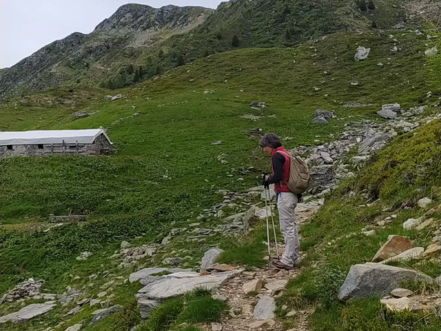 Alpe Pedroria e Monte Pisello - Sabato 2 luglio