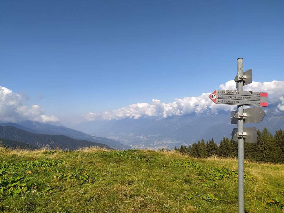 Da Malga Dosso, lo sguardo si perde in direzione della Valtellina