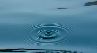 ripple.webp