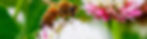 F301B640-2237-4630-B469-6498F4CDE230.jpe