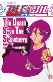 Light Novel Baseada em Bleach será lançada esse ano
