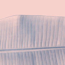 Pink Leaf