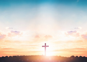 AdobeStock_296865124.jpeg