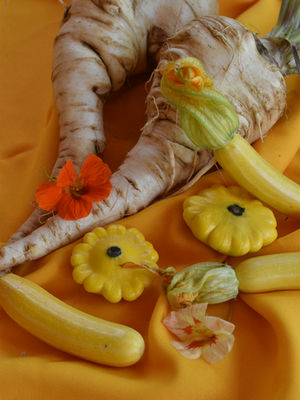 ¿Cómo preparar el parsnip/chirivía?