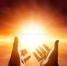 ¡¡Gracias!! en Thanksgiving