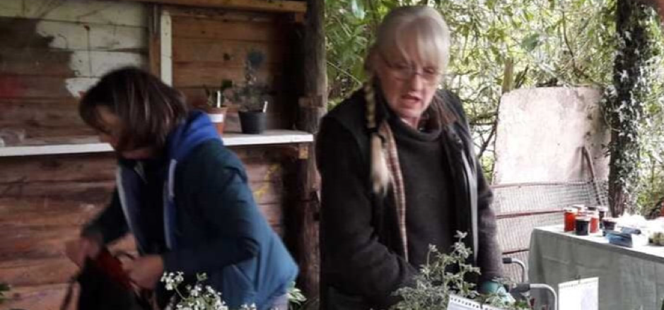 Sue's Plant Fair.png