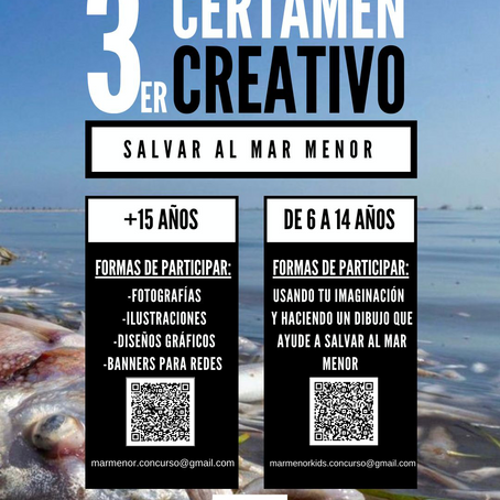 Formas de participar en el concurso