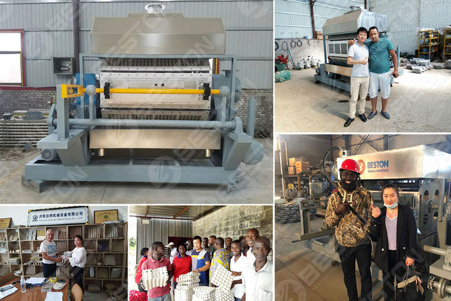 Key Considerations Regarding Egg Tray Making Machine Price